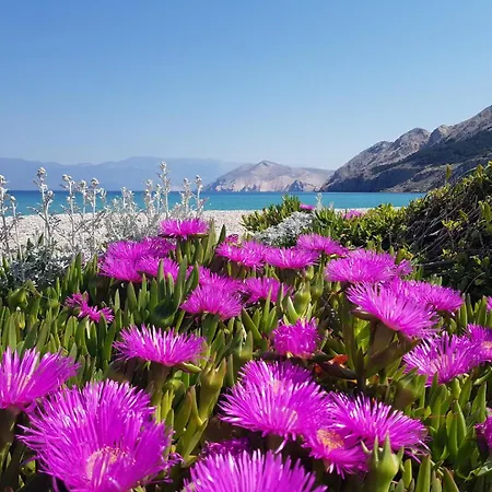 Haramina Baška